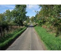UK Photo Print A4 / 12"x8" Ash trees on the long road to West Haddon c2010