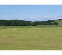 UK Photo Print A4 / 12"x8" Barnbarroch Park Kirkinner View across the park which is open f c2010