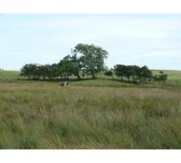 UK Photo Print A4 / 12"x8" Barr Burn Mochrum/NX3446 View from the burn across open farmla c2010