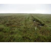 UK Photo Print A4 / 12"x8" Below Naughtberry Hill Walden The boundary is marked by small w c2010