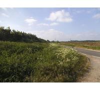 UK Photo Print A4 / 12"x8" Bend on Appleford Road This is the exit from a public footpath c2016