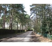 UK Photo Print A4 / 12"x8" Bodens Ride, South Ascot This is a private road that leads to S c2010