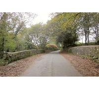 UK Photo Print A4 / 12"x8" Bridge over former railway, Bickleigh Seen from the old trackbe c2014