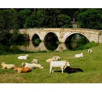 UK Photo Print A4 / 12"x8" Bridge to the Pastures Bridgend/Beul an Atha c2009