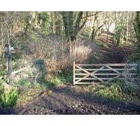 UK Photo Print A4 / 12"x8" Bridle path through Thorn Wood Box/ST8268 The gate is open, so c2012