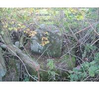 UK Photo Print A4 / 12"x8" Broken Cross in Hedgerow ? Gardham As you enter the drive up c2009
