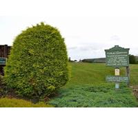 UK Photo Print A4 / 12"x8" Cast iron footpath sign (1909) at Brough Brough/SK1882 Leading c2012