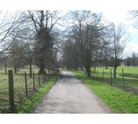 UK Photo Print A4 / 12"x8" Charlton Park access road Bishopsbourne This road leads from Bi c2010