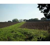 UK Photo Print A4 / 12"x8" Chiltern Way towards Gaddesden Row Jockey End The Chiltern Way& c2010