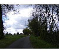 UK Photo Print A4 / 12"x8" Clay Hill, Capons Green Dennington/TM2867 Looking towards Elm c2010