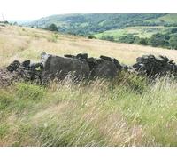 UK Photo Print A4 / 12"x8" Colne Valley Sculpture Trail #12 Lingards Wood Text copied from c2013