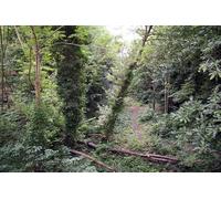 UK Photo Print A4 / 12"x8" Course of old railway Penge Trains last ran on the Crystal Pala c2012