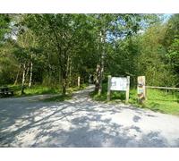 UK Photo Print A4 / 12"x8" Cycle Path, Cocklet Hill Tosside Two mountain bikers off down o c2010