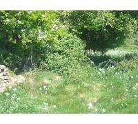 UK Photo Print A4 / 12"x8" Difficult going Chipping Norton The footpath into the valley bo c2011