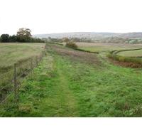 UK Photo Print A4 / 12"x8" Diverging paths Sutton Abinger The path following the fence lin c2010