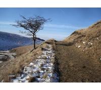 UK Photo Print A4 / 12"x8" Doctors Gate footpath Old Glossop Doctors Gate footpath is an o c2012