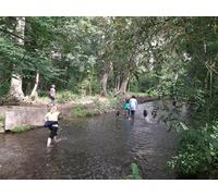 UK Photo Print A4 / 12"x8" Dog walking in the River Cray North Cray Several dog walkers (i c2011