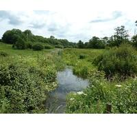 UK Photo Print A4 / 12"x8" Drainage ditch by the River Rother South Ambersham My first tho c2011