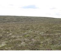 UK Photo Print A4 / 12"x8" Duntae Edge Knox Knowe This seems an odd name for such gently s c2010