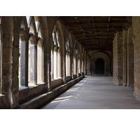 UK Photo Print A4 / 12"x8" Durham Cathedral - the cloisters c2011
