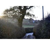 UK Photo Print A4 / 12"x8" East Devon : Maer Lane Exmouth Going down the hill at Maer Lane c2010