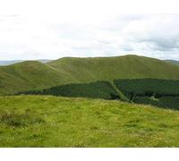 UK Photo Print A4 / 12"x8" Ellson Fell from Carlin Tooth Linhope/NT4001 A fine ridge walk c2010