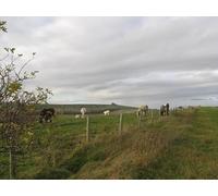 UK Photo Print A4 / 12"x8" En Route from Sugar Hill to Long Barrow Upper Upham c2010