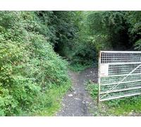 UK Photo Print A4 / 12"x8" End of the path Leckhampton The footpath down Leckhampton Hill c2011