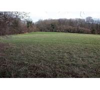 UK Photo Print A4 / 12"x8" Field by Beech Wood Fox Hill/ST7562 This field on the hillside c2016