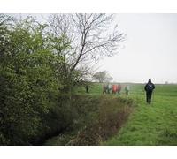 UK Photo Print A4 / 12"x8" Field Edge Footpath follows the Drainage Ditch Sutton-on- c2012