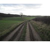 UK Photo Print A4 / 12"x8" Field Edge Track Riplingham In the dip is a footpath junction c2012