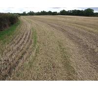 UK Photo Print A4 / 12"x8" Field View Woodthorpe/SE5749 Open view across the fields to th c2010