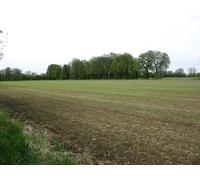 UK Photo Print A4 / 12"x8" Fields near Boveney Lock Eton Seen from the Thames Path. c2013