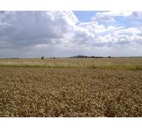UK Photo Print A4 / 12"x8" Fields toward Winsetts Easington/TA3919 The footpath from Ea c2009