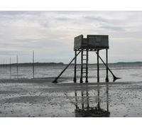 UK Photo Print A4 / 12"x8" First refuge on the Pilgrims Way Beal/NU0642 c2010
