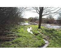 UK Photo Print A4 / 12"x8" Flooded Footpath to St Helena Island Glenluce c2014