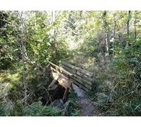 UK Photo Print A4 / 12"x8" Footbridge in Hawthorn Dene Easington Colliery County Durham co c2013