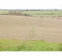 UK Photo Print A4 / 12"x8" Footpath across a field leading to Brimmers Road Princes Risbor c2011