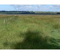 UK Photo Print A4 / 12"x8" Footpath across the saltmarsh Malltraeth Leading from Newboroug c2011