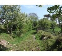 UK Photo Print A4 / 12"x8" Footpath along an ancient route Bwlch/SH5705 This old path, wi c2012
