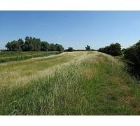 UK Photo Print A4 / 12"x8" Footpath along the Great Ouse Chittering c2015