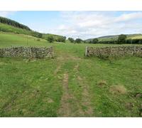 UK Photo Print A4 / 12"x8" Footpath below Lindop Wood Beeley Following the Derwent Valley c2011