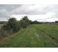 UK Photo Print A4 / 12"x8" Footpath by Guilden Sutton Great Barrow/SJ4668 The northern fo c2010