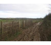 UK Photo Print A4 / 12"x8" Footpath junction on the North Downs Way Guston The long dista c2011