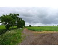 UK Photo Print A4 / 12"x8" Footpath junction with the Monarch's Way Shelfield Green c2013