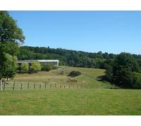UK Photo Print A4 / 12"x8" Footpath near Pennybridge Farm Best Beech Hill A path leads fro c2013