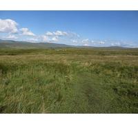UK Photo Print A4 / 12"x8" Footpath on Langcliffe Kettlewell A vague footpath crossing the c2015