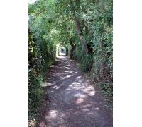 UK Photo Print A4 / 12"x8" Footpath on the trail round Bosworth Field Dadlington c2015