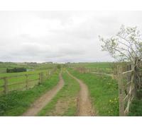UK Photo Print A4 / 12"x8" Footpath southwest from Biggen Gardens Esh c2013