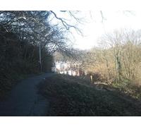 UK Photo Print A4 / 12"x8" Footpath through Still Green Royal Tunbridge Wells This path le c2010